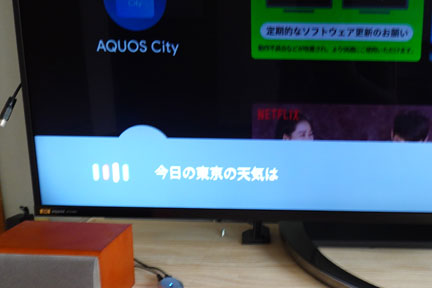 DSC01024.jpg