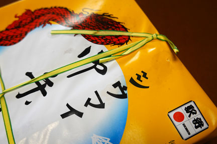 DSC01804.jpg