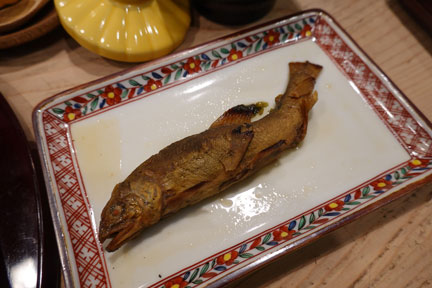 DSC02535.jpg