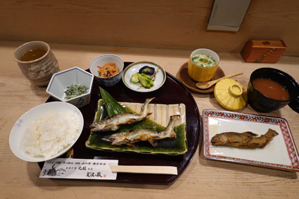 DSC02534.jpg