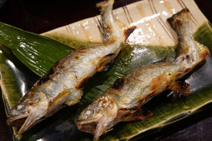 DSC02532.jpg