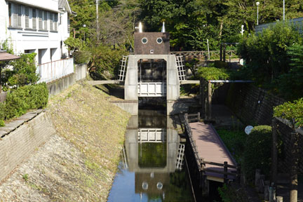 DSC02577.jpg