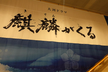 DSC02558.jpg