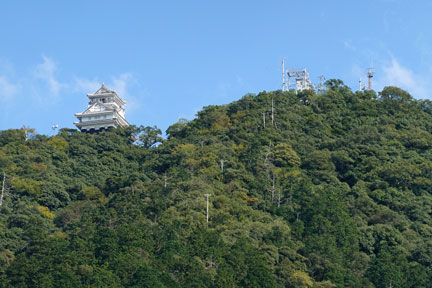 DSC02544.jpg