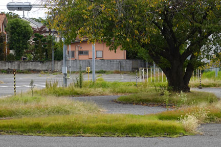 DSC02854.jpg