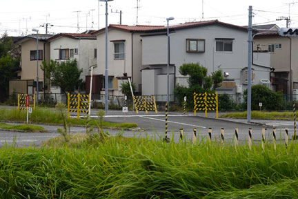 DSC02850.jpg