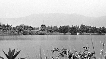 油彩自然風景画奈良薬師寺と七条大池 油彩自然風景画奈良薬師寺と七条大池