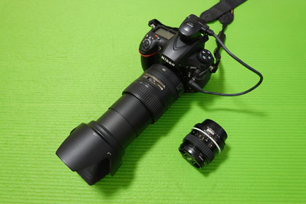 NikonD810 レンズ付き Nikon ZfとNIKKOR Z 135mm f/1.8 S Plenaを購入！至高のポート