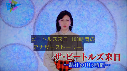 ビートルズ 日本滞在103時間全記録 パンフレット 貴重 ビートルズ 日本滞在103時間全記録 パンフレット 貴重