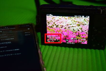 Nikon SnapBridgeはD5300で全く使えない | イケてる、モノ・コト