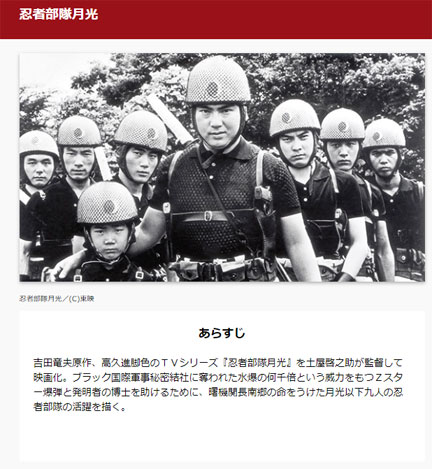 忍者部隊月光 ヘルメット 子供用 （懐かしのヒーロー物