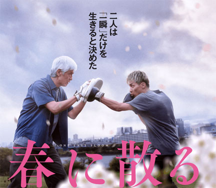 映画「春に散る」沢木耕太郎原作、佐藤浩市・横浜流星を鑑賞 | イケ
