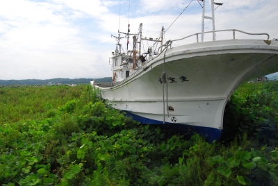 DSC_5944.JPG