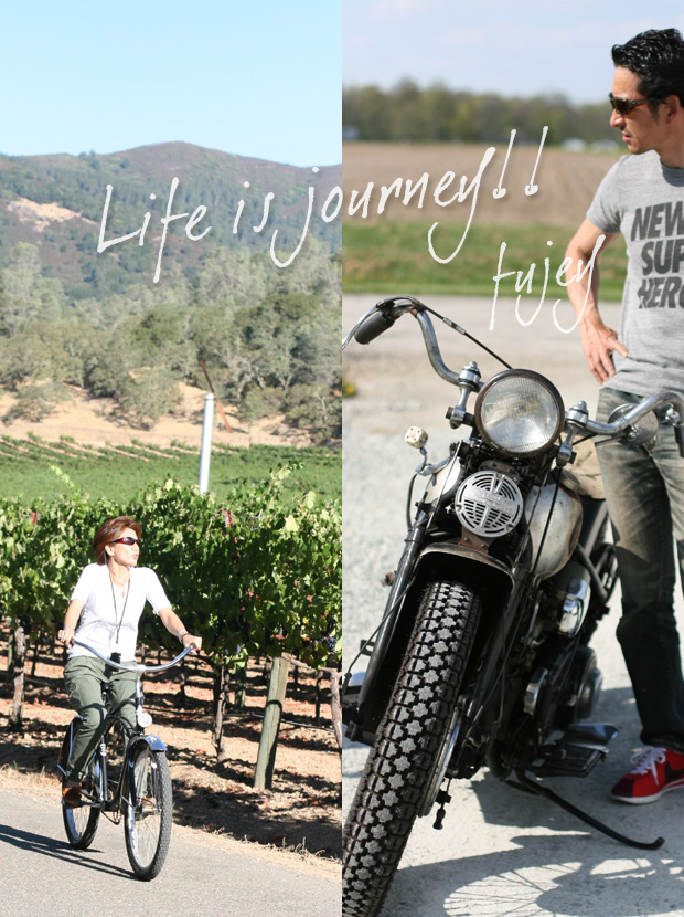 The journey of life