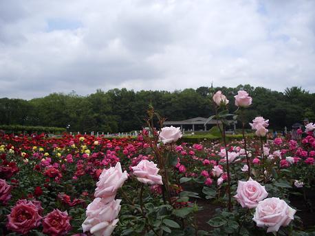 植物園2