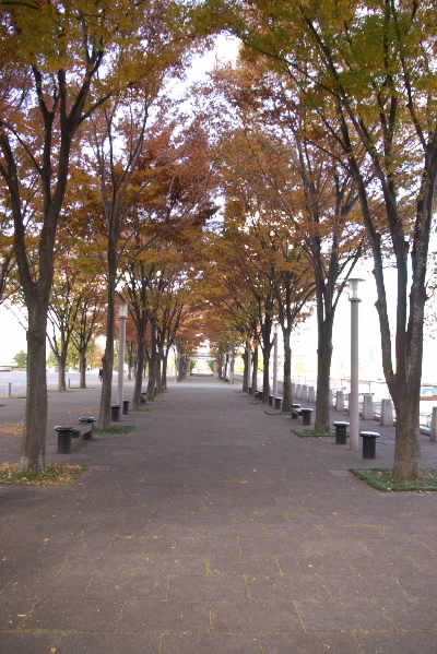 横浜美術館5