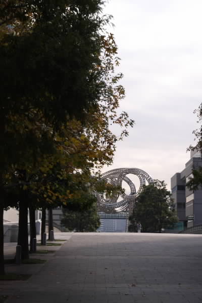 横浜美術館6
