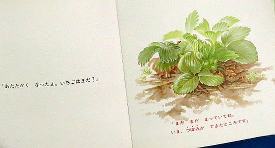 絵本の紹介「いちご」 | えほにずむの絵本棚