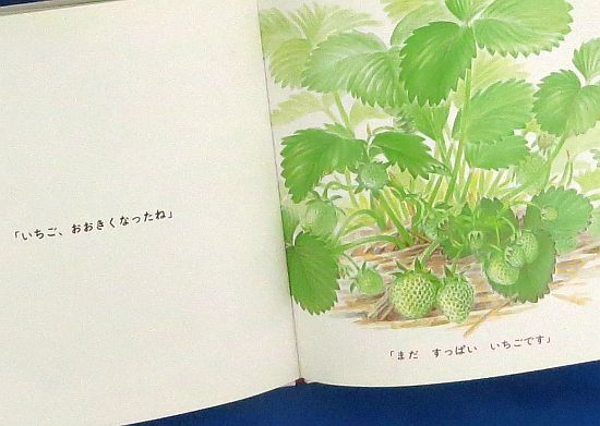絵本の紹介「いちご」 | えほにずむの絵本棚