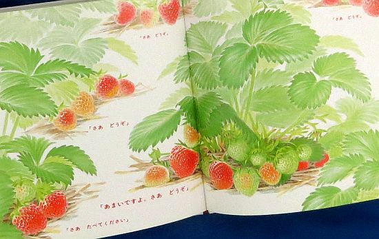絵本の紹介「いちご」 | えほにずむの絵本棚