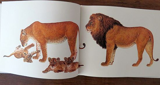 絵本の紹介】「どうぶつのおやこ」【448冊目】 | えほにずむの絵本棚