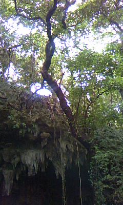 090320_1418~01.jpg