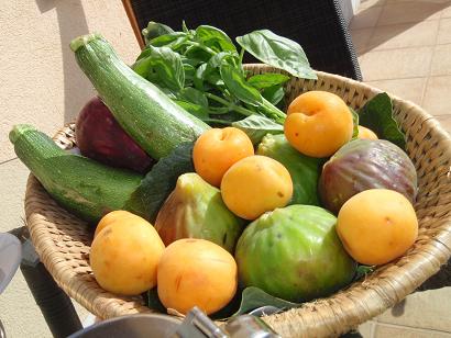 2010sicilia32agrivegikago.JPG