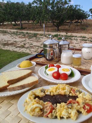 2010sicilia32agribreakfast3.JPG
