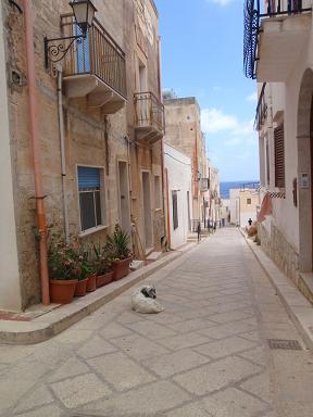 2010sicilia30maretimo12.JPG
