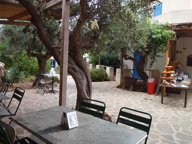 2010sicilia30maretimo3.JPG