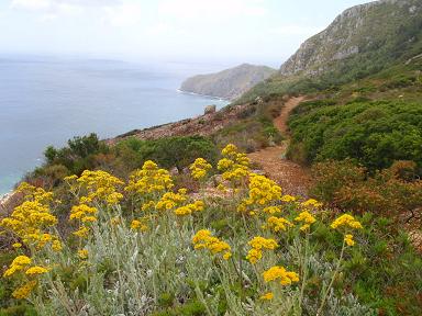 2010sicilia30maretimo9.JPG