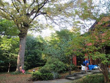 20101110miyakothitku30house.JPG