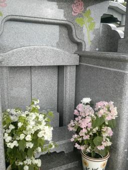 20101125ohaka4.JPG