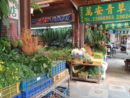 2青草.jpg