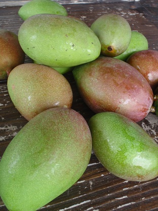 greenmango.jpg