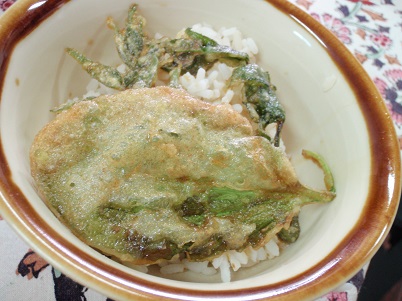 tendon.jpg