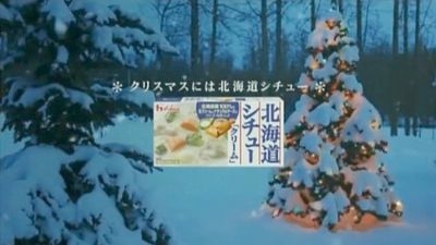 田中麗奈ハウス食品北海道シュー2