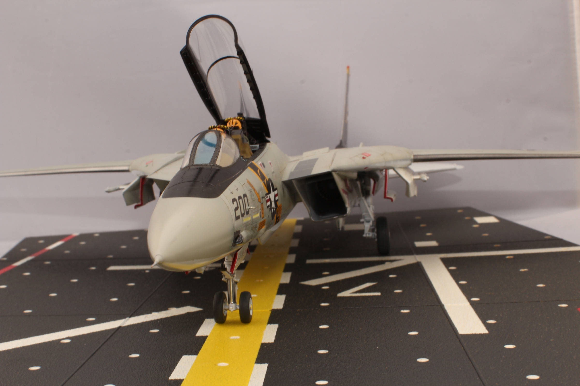 TOMCAT (6).JPG