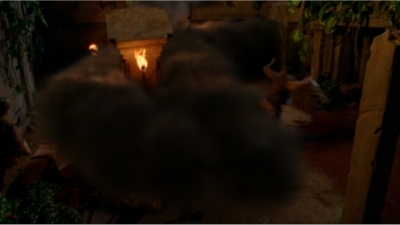 S6E6