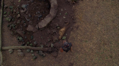S6E15