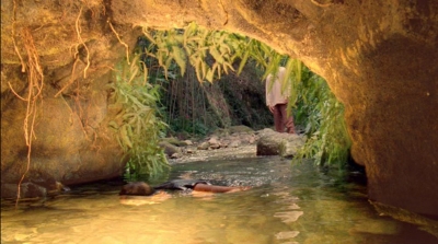 S6E15