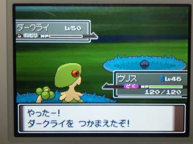 色違いダークライ 早くもゲット 大人のポケモン道