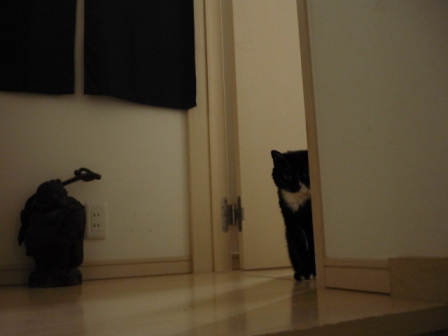 監督