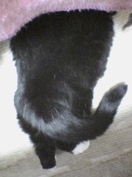 luna2