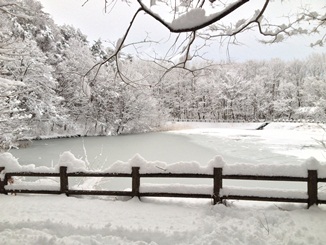 snow1