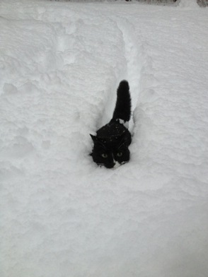 snow2