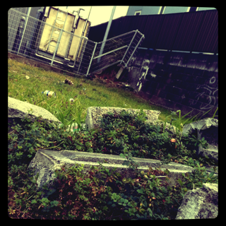 IMG_2417.png