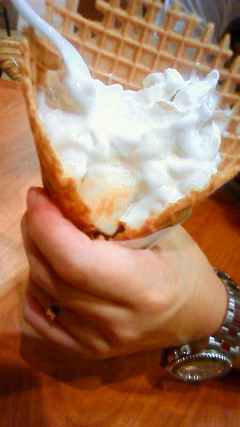 200809181440001.jpg