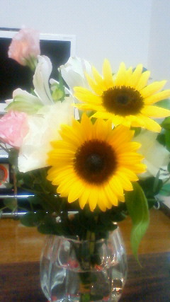 200907092328001.jpg