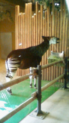 201003211537000.jpg